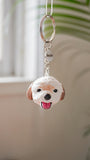 Personalized Pet Keychain