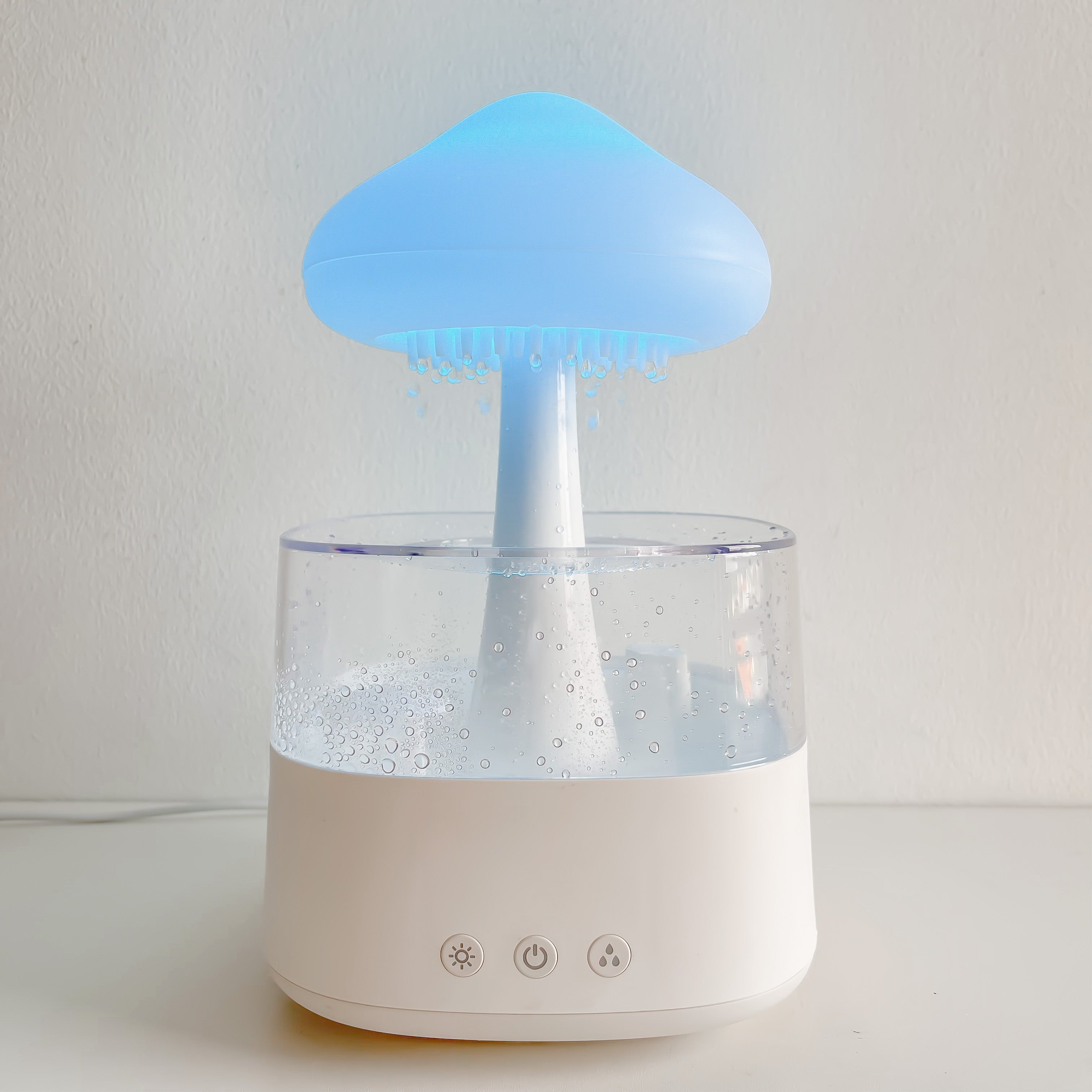 Rain Cloud Humidifer