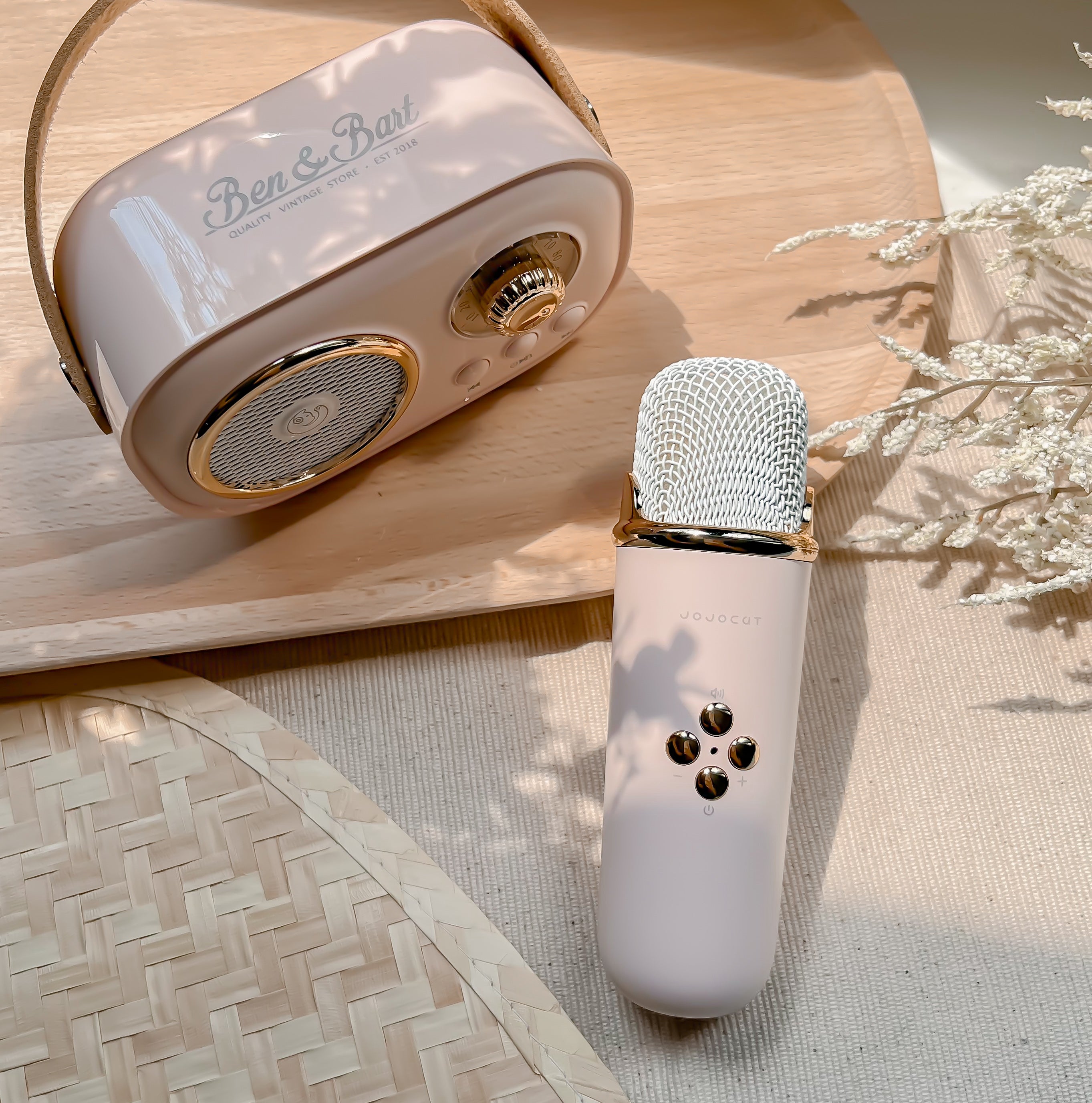 Mini Retro Karaoke Set