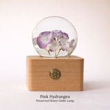 Preserved Flower Globe Lamp