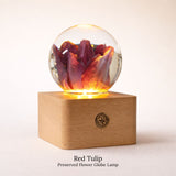 Preserved Flower Globe Lamp