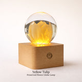 Preserved Flower Globe Lamp