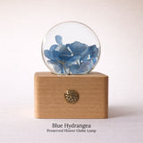 Preserved Flower Globe Lamp