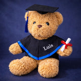 The Oxford Bear - A custom embroidered graduate bear