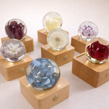 Preserved Flower Globe Lamp