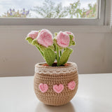 Hand Crochet Bouquet Collection : Avery Potted Flowers