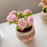 Hand Crochet Bouquet Collection : Avery Potted Flowers