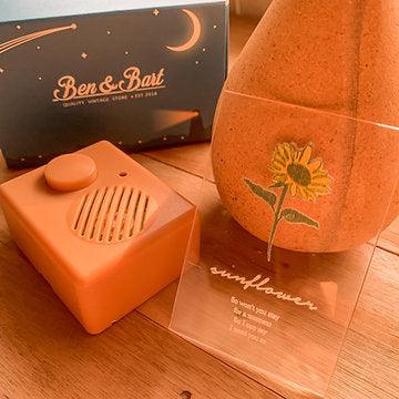 Sound Cube : Sunflower - Rex Orange - benandbart